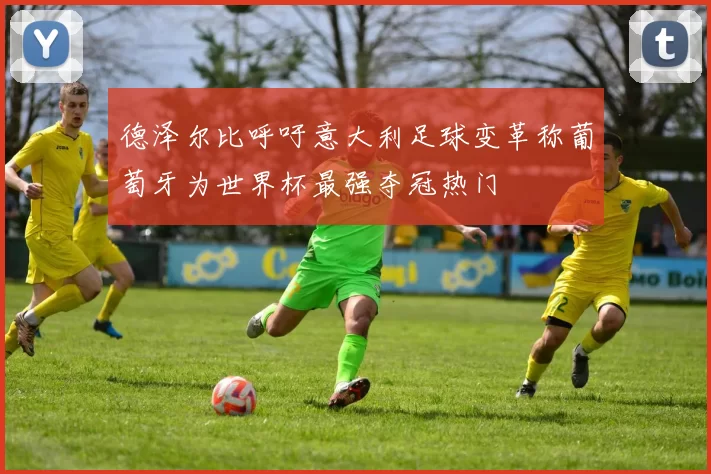德泽尔比呼吁意大利足球变革称葡萄牙为世界杯最强夺冠热门